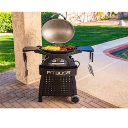 Pack Barbecue gaz portable - SPORTSMAN 2