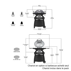 Pack Barbecue gaz portable - SPORTSMAN 2