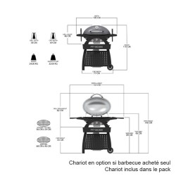 Pack Barbecue gaz portable - SPORTSMAN 3